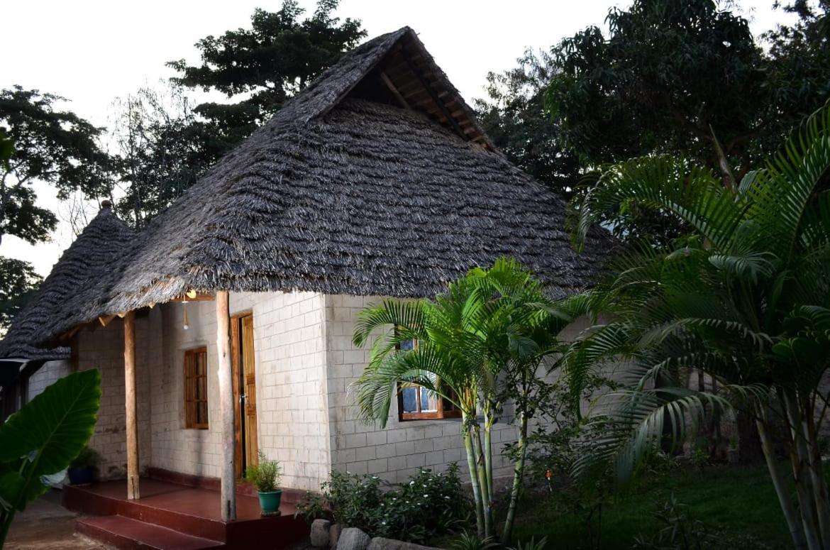 Charming Eco-Homestay Near Kilimanjaro International Airport Arusha Esterno foto