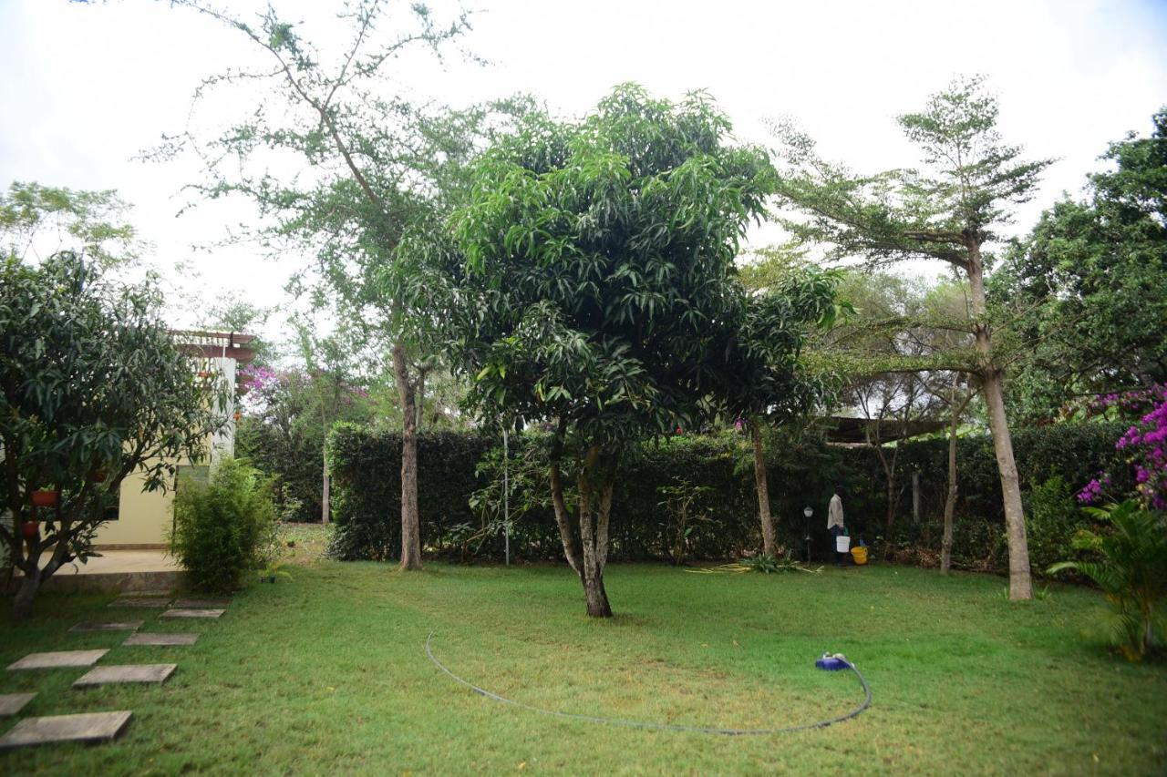 Charming Eco-Homestay Near Kilimanjaro International Airport Arusha Esterno foto